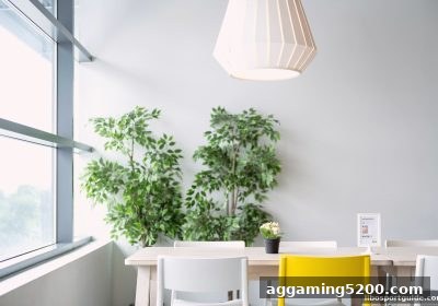 立博体育深度揭秘：观察力如何成为桌游与欧洲杯观赛中的制胜法宝