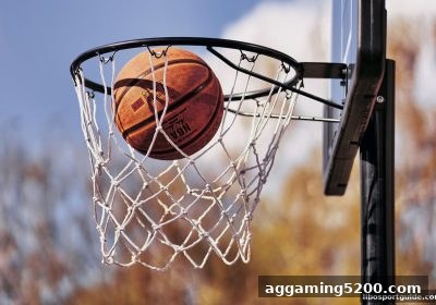立博体育带你深度解析彩票大小单双玩法：概率、策略与理性参与指南