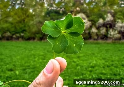 立博体育深度解读：打鱼机与彩票号码选择的内在逻辑与理性策略