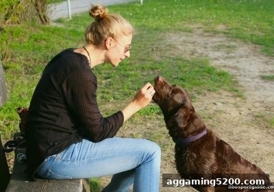立博体育独家策略：世界杯直播精彩回顾的推广秘籍与实战指南