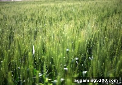 立博体育新用户首存红包全攻略：从领取到3D彩票玩法一网打尽