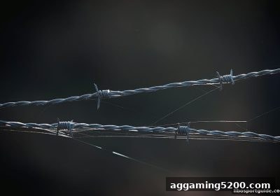 立博体育用户维权实用手册：正规申诉渠道与安全操作指南