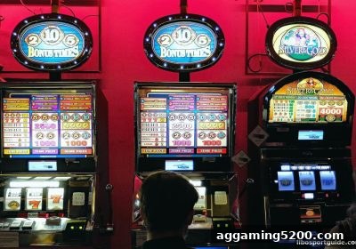 立博体育带你解锁免费旋转的深层价值与实战指南